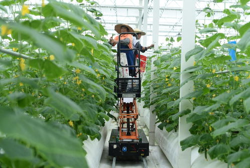 新華網(wǎng)長三角頻道 解碼旅游業(yè)務(wù)新生態(tài)，賦能區(qū)域文旅高質(zhì)量發(fā)展